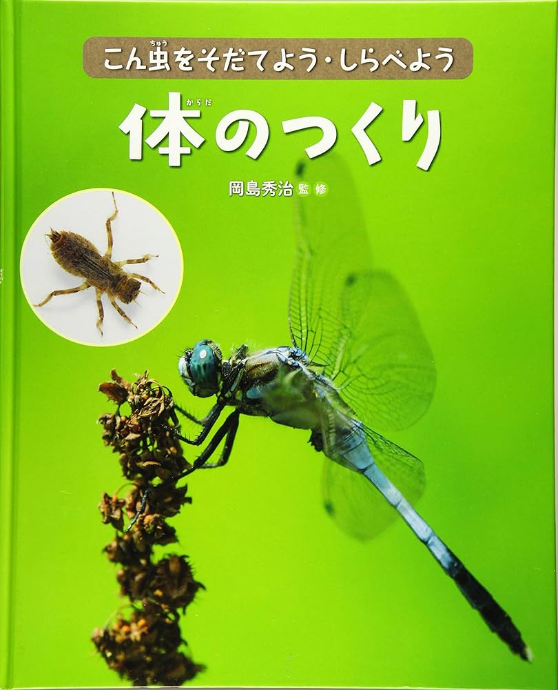 体のつくり (こん虫をそだてよう・しらべよう) | 岡島秀治 |本
